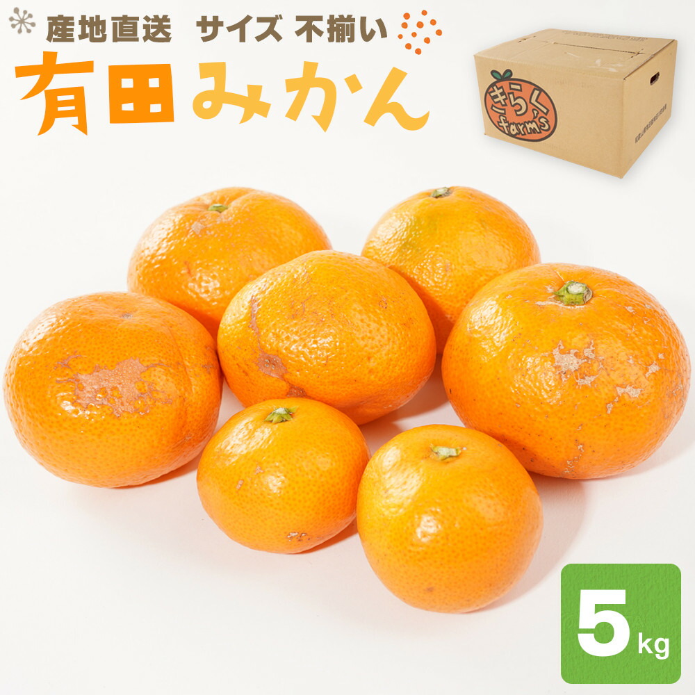 【ふるさと納税】産地直送 有田みかん サイズ 不揃い 約5kg 喜楽farms 【2025年11月以降順次発送】 | みかん 蜜柑 フルーツ 果物 くだもの 食品 人気 おすすめ 送料無料