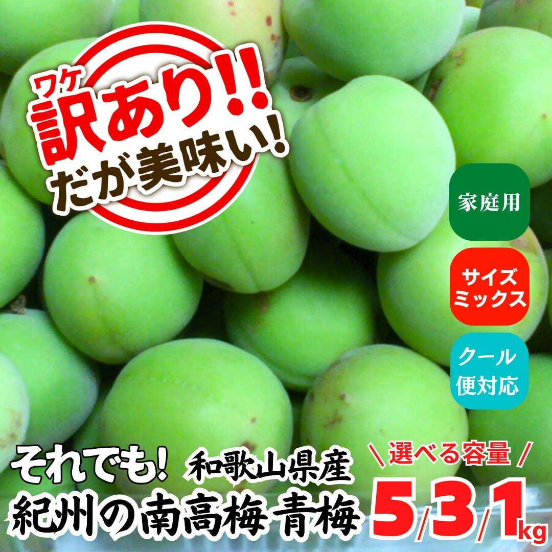 【ふるさと納税】【選べる容量】青梅 南高梅 訳あり約1～5kg サイズミックス 和歌山県産 A品 梅酒作り用 梅ジュース作り用 | 梅干し 梅干 梅酒 梅ジュース 食品 加工食品 人気 おすすめ 送料無料