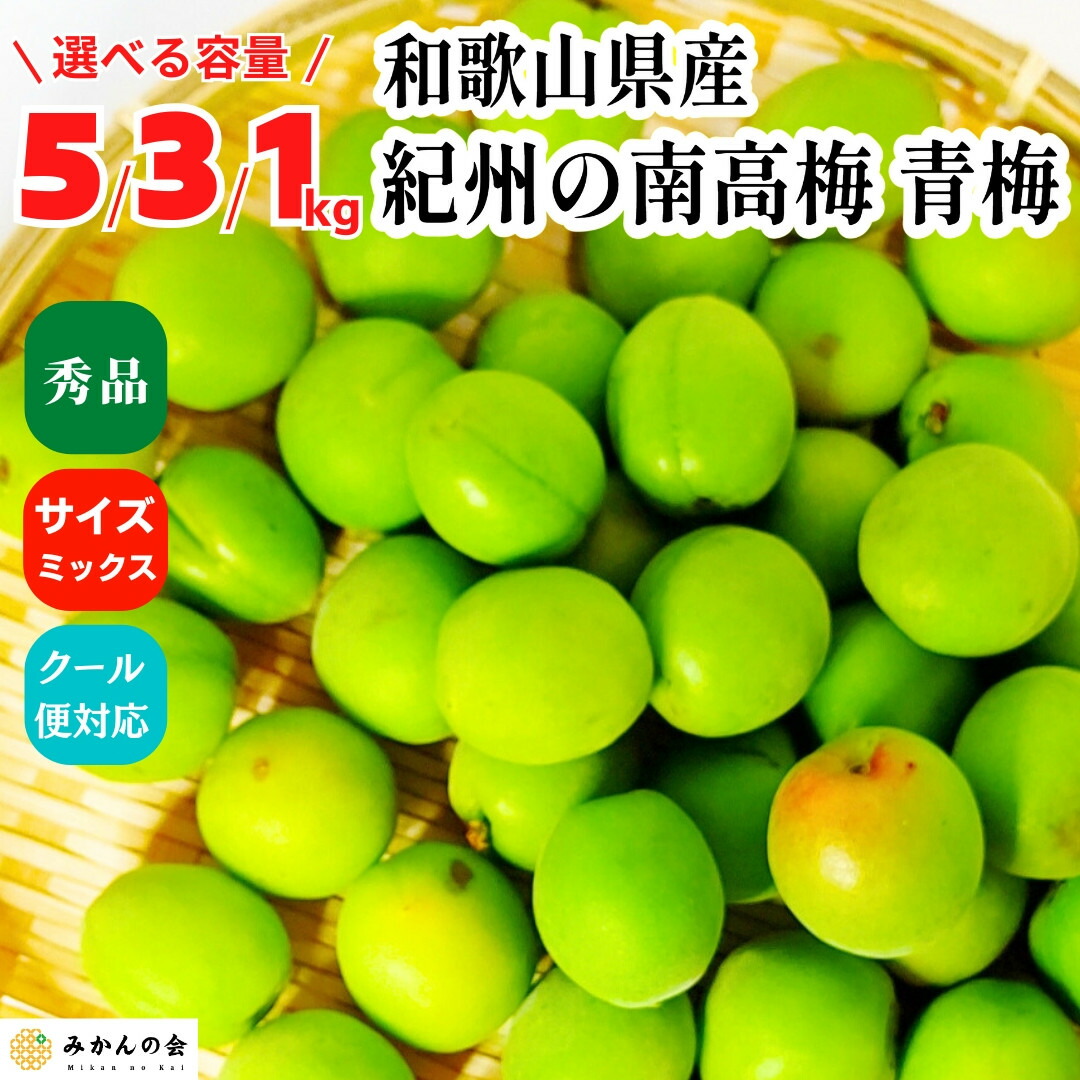 【ふるさと納税】【選べる容量】青梅 南高梅 約1～5kg 秀品 サイズミックス  和歌山県産 A品 梅酒作り用 梅ジュース作り用 | 梅 うめ 南高梅 完熟 生梅 秀品 和歌山県 梅酒用 梅干用 梅シロップ 梅ジャム 送料無料 お土産 取り寄せ