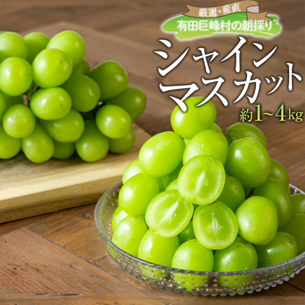 ふるさと納税 ぶどう マスカット 和歌山県 有田川町 農園直送 朝採り 濃厚 シャインマスカット 約3kg 先行予約 楽天市場】【ふるさと納税】有田産  シャインマスカット 約 2kg 有田巨峰村 森下農園 ぶどう 送料無料 フルーツ マスカット シャインマスカット | フルーツ ...