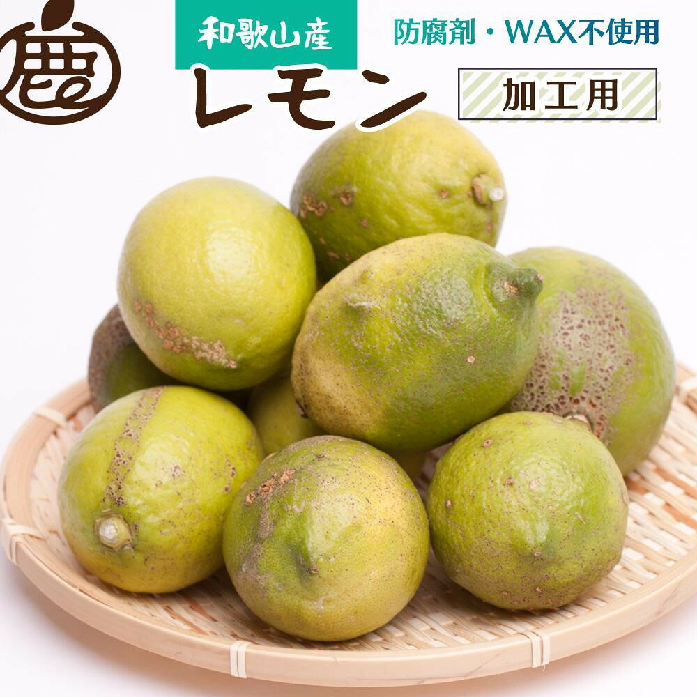 【ふるさと納税】【選べる容量】［先行予約］加工用 レモン（2.5kg～10kg）+250g（傷み補償分）［和歌山有田産］［防腐剤・WAX不使用、安心の国産レモン］［わけあり・訳ありレモン］ | 柑橘 人気 おすすめ フルーツ 果物 お取り寄せ 送料無料 ふるさと納税