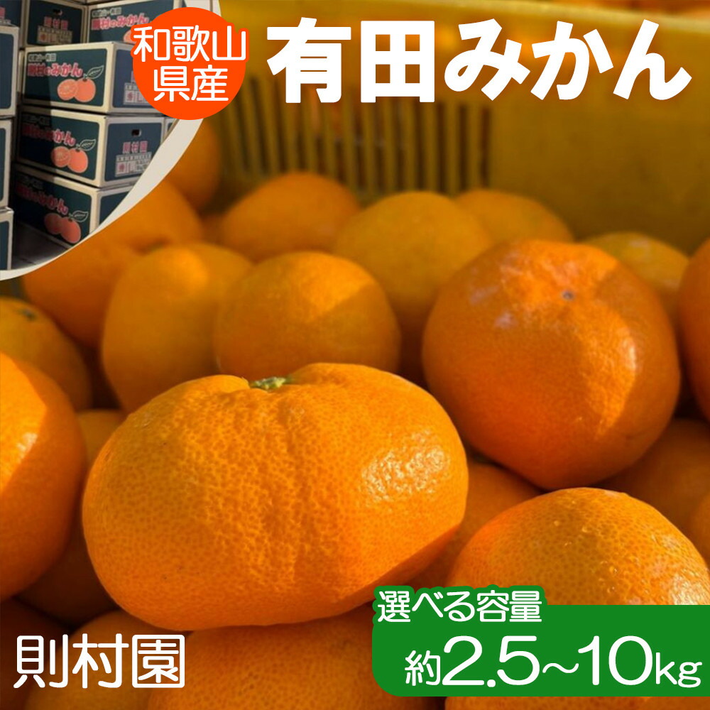 【ふるさと納税】【選べる容量】則村園産 有田みかん 約2.5kg～約10kg | 温州みかん みかん 蜜柑 甘い 有田川町 和歌山 フルーツ 果物 くだもの 食品 人気 おすすめ 送料無料 産地直送｜和歌山県有田川町