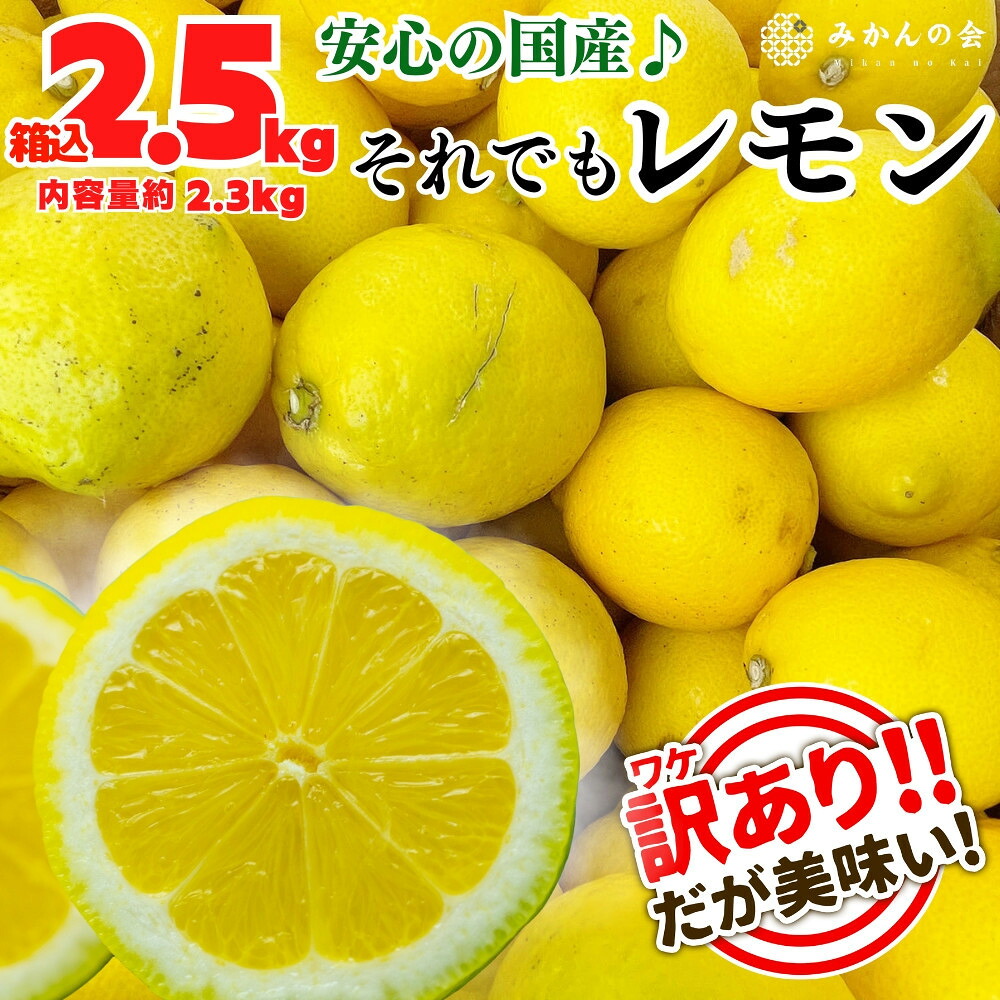 【ふるさと納税】【選べる容量】訳あり レモン B品 箱込2.5kg(内容量約2.3kg) または 箱込5kg(内容量約4.4kg) 和歌山県有田産（サイズミックス）【みかんの会】 | レモン 和歌山 野菜 檸檬 柑橘類 すっぱい 酸 有田 和歌山県 有田川町 ふるさと納税 返礼品 故郷納税