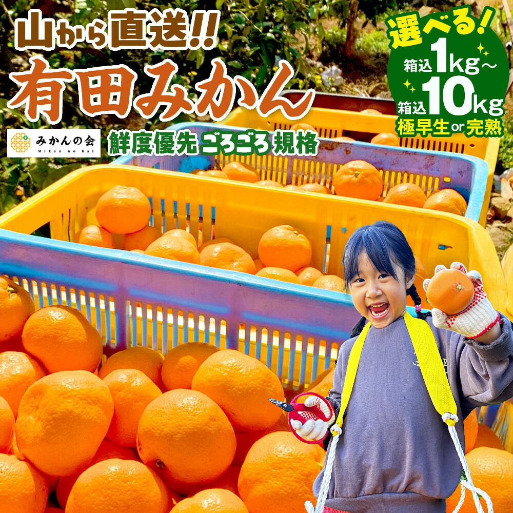 楽天市場】【ふるさと納税】【選べる】極早生みかん or 完熟みかん 訳