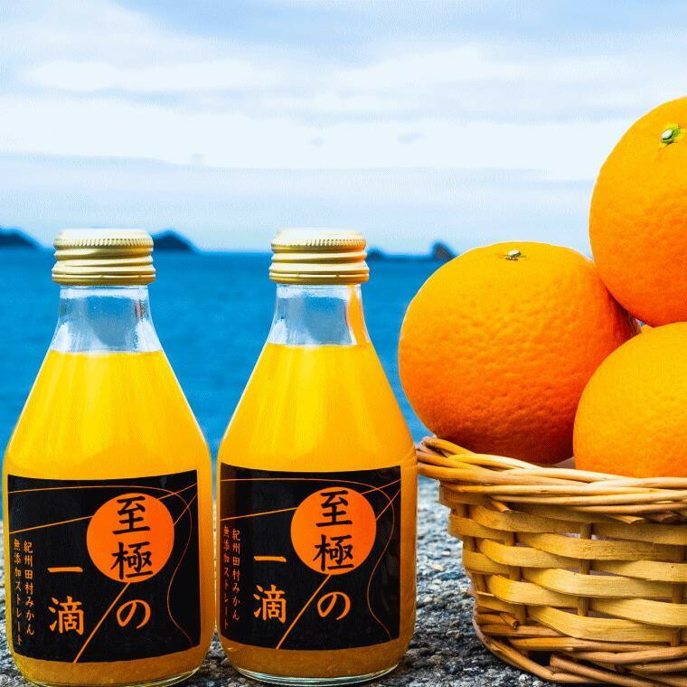 【ふるさと納税】［選べる容量］［無添加］田村みかんの新鮮100％ジュース「至極の一滴」★2026年2月中旬頃より順次発送 | 飲料 果実飲料 ドリンク 食品 人気 おすすめ 送料無料｜和歌山県有田川町