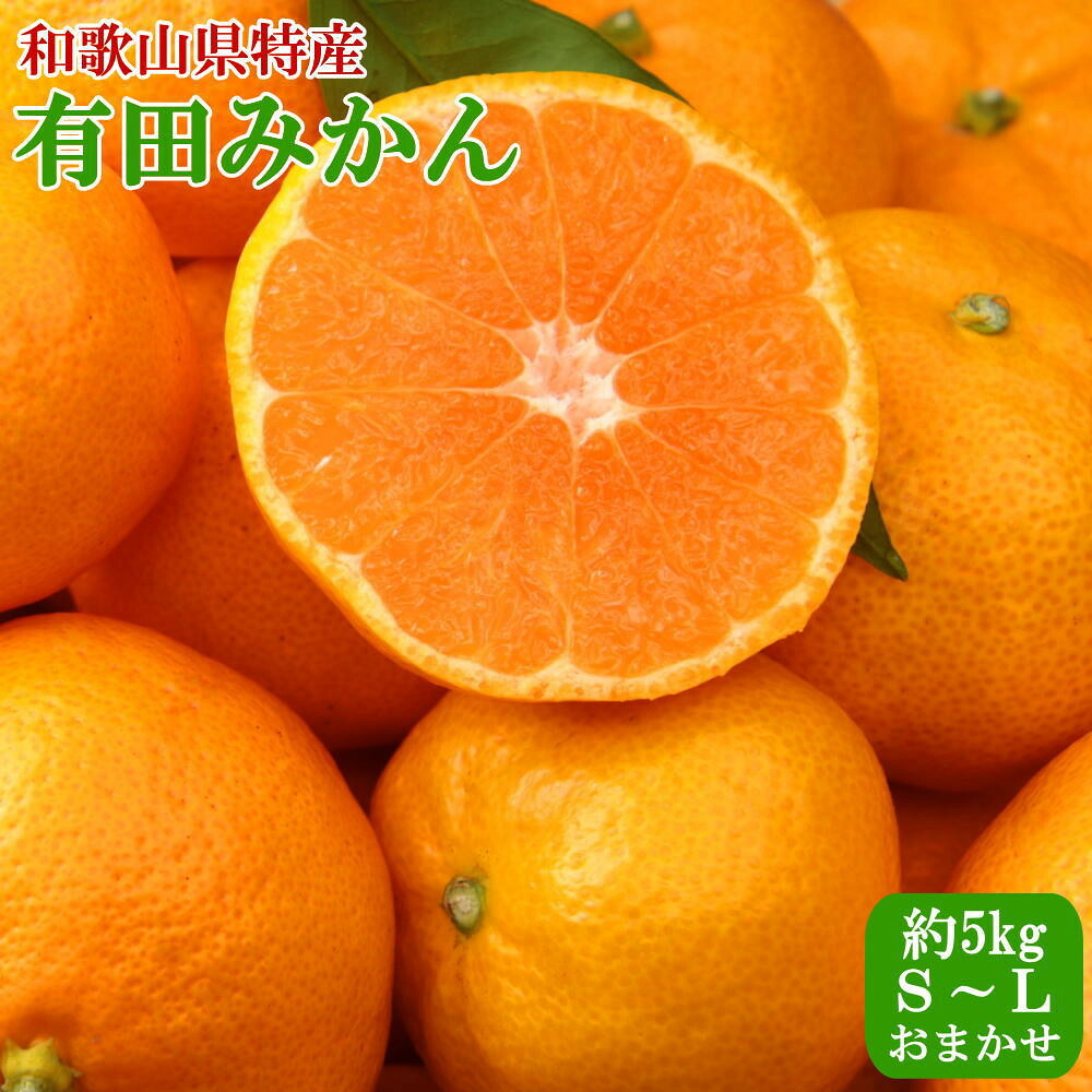 【ふるさと納税】[秀品]和歌山有田みかん5kg (S～Lサイズおまかせ) ★2026年11月中旬頃より順次発送｜和歌山県有田川町