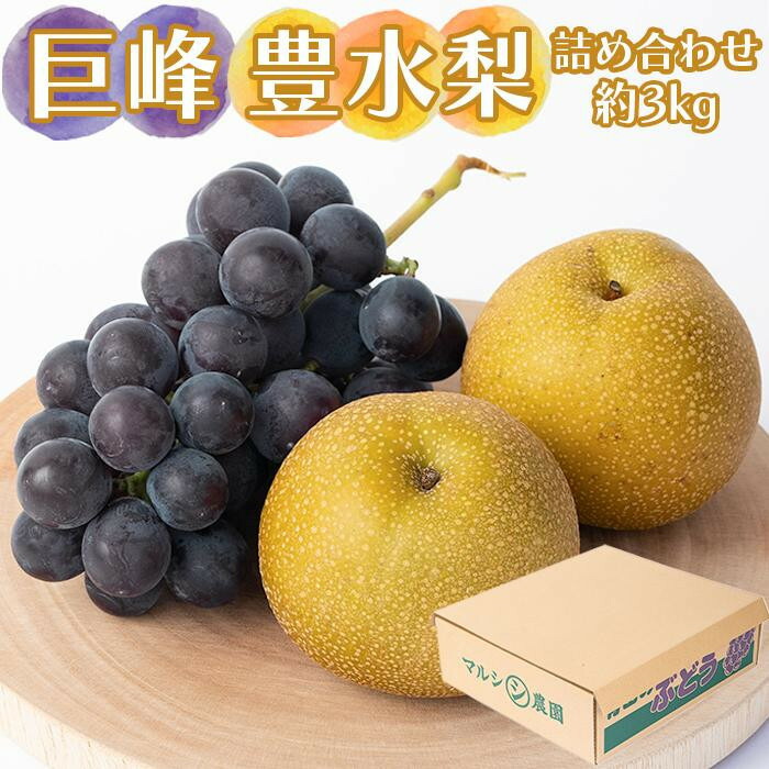 【ふるさと納税】巨峰、豊水梨　詰め合わせ　約3kg箱 | 果物 フルーツ ぶどう ブドウ 葡萄 産直 産地直送 おすすめ お取り寄せ 先行予約 期間限定 数量限定