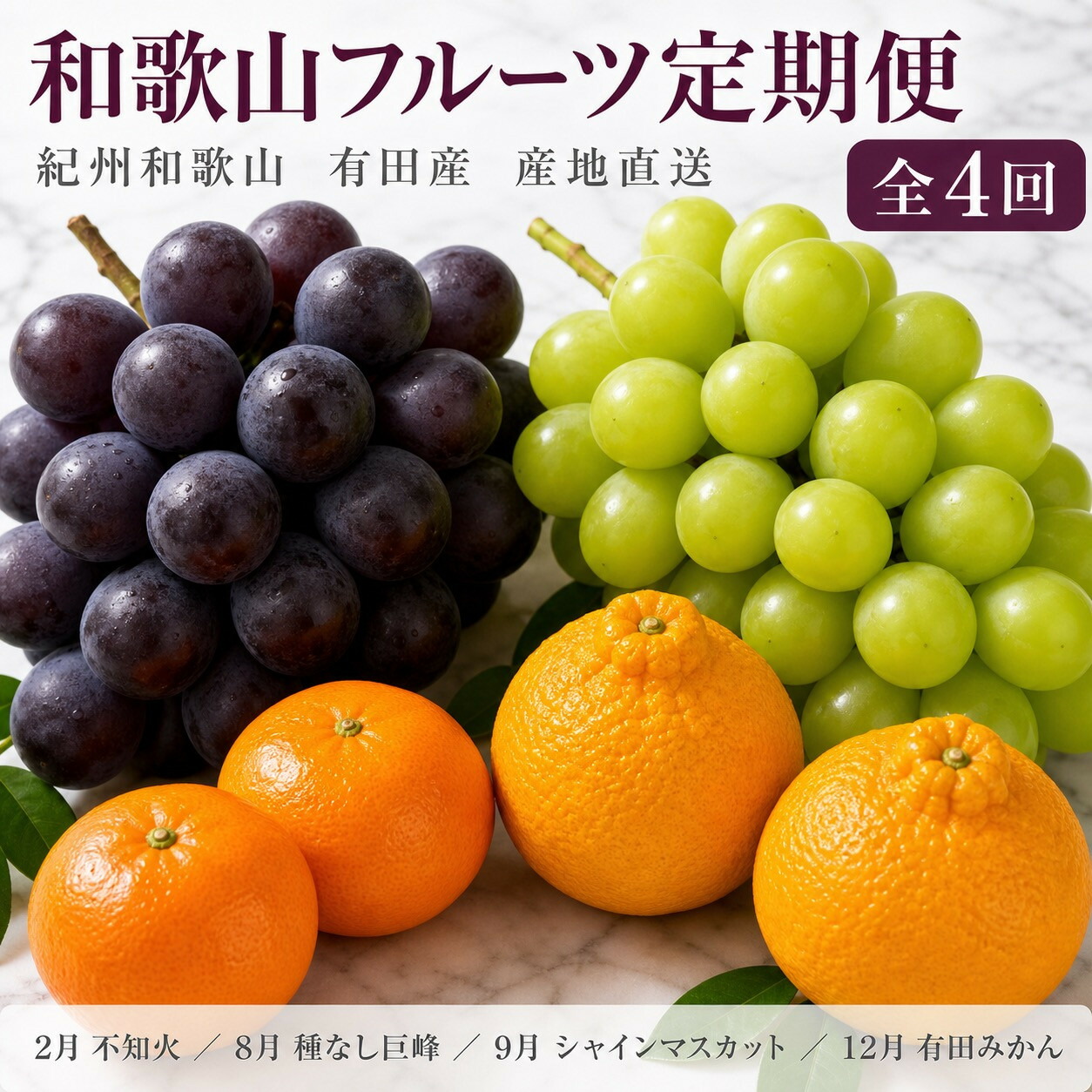 【ふるさと納税】【2・8・9・12月 全4回】紀州和歌山産旬のフルーツセット(巨峰・シャインマスカット・みかん・不知火) 定期便 | フルーツ 果物 くだもの 食品 人気 おすすめ 送料無料 定期便|和歌山県有田川町