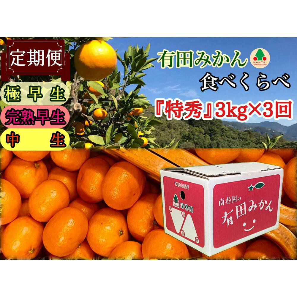 【ふるさと納税】【えらべる回数(全3回・全15回)】定期便 有田みかん 食べくらべ 3種 特秀 各3kg コース 南泰園 みかん | みかん 蜜柑 フルーツ 果物 くだもの 食品 人気 おすすめ 送料無料|和歌山県有田川町