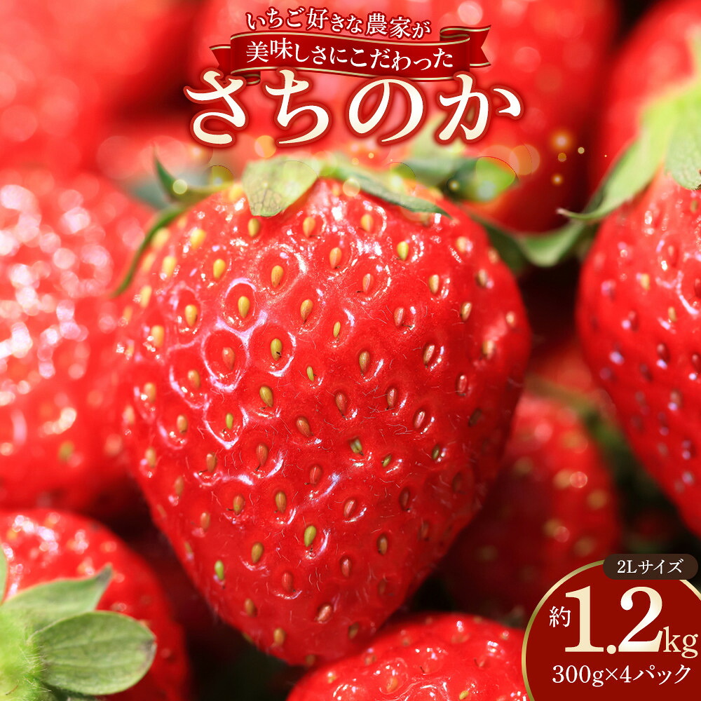 【ふるさと納税】おいしさにこだわった いちご 苺 さちのか 300g × 4パック 合計 1.2kg 2L サイズ 江川農園