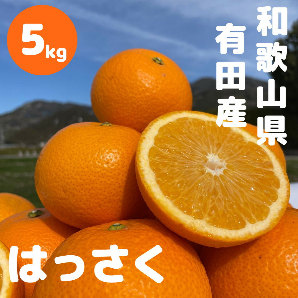 【ふるさと納税】和歌山 有田 はっさく 5kg | はっさく 柑橘 フルーツ 果物 くだもの 食品 人気 おすすめ 送料無料