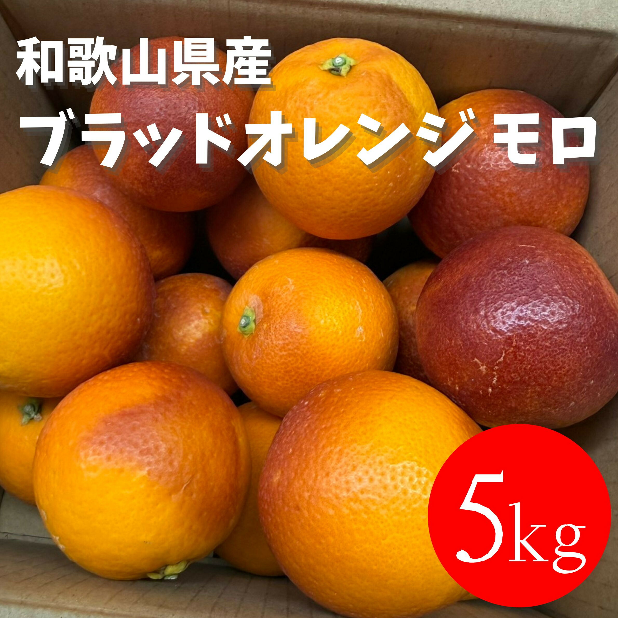 【ふるさと納税】和歌山 有田 ブラッドオレンジ モロ 5kg | ブラッドオレンジ モロ 柑橘 フルーツ 果物 くだもの 食品 人気 おすすめ 送料無料