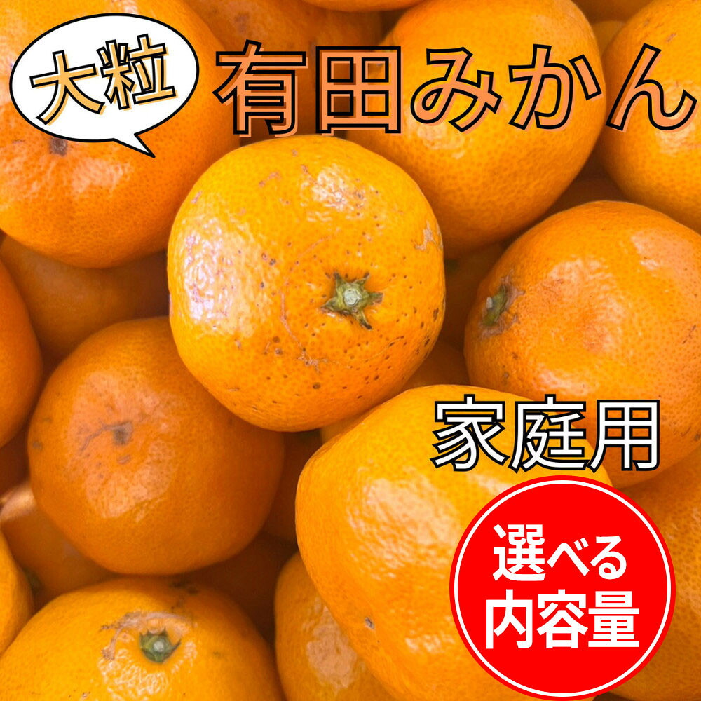 【ふるさと納税】【選べる内容量】 家庭用 大粒有田みかん 1～10kg | みかん 蜜柑 フルーツ 果物 くだもの 食品 人気 おすすめ 送料無料