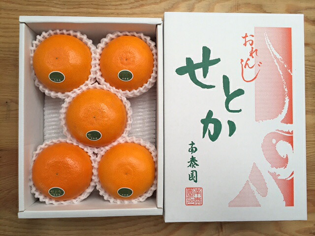 ふるさと納税 二分の一飾付け入れ物 柑橘の大きいトロ 家屋せとか 厳選 5塊初め 22老年2御月様上旬 4月上旬潮時に順次送りつけるアジェンダ Plantingthefuture Com