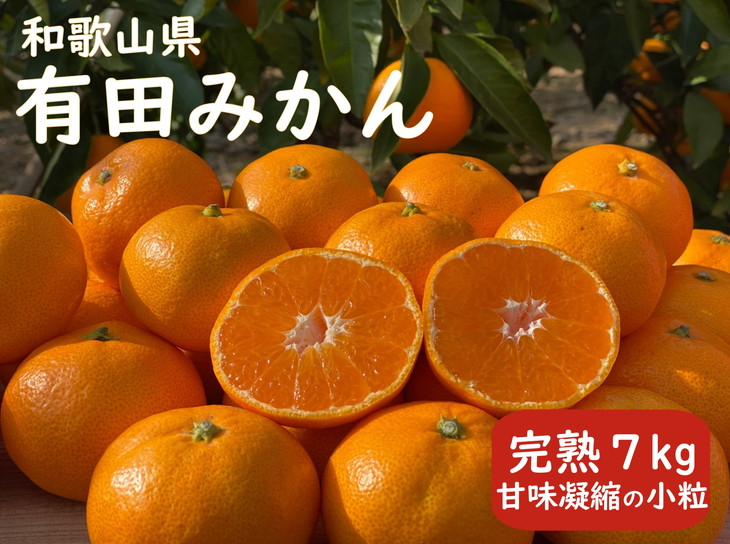 紀州有田みかん約10kg 2Sサイズ 秀品 ミカン フルーツ 産地直送 和歌山 果物 ※2022年11月中旬頃〜12月下旬頃に順次発送予定 蜜柑 ※着 日指定不可