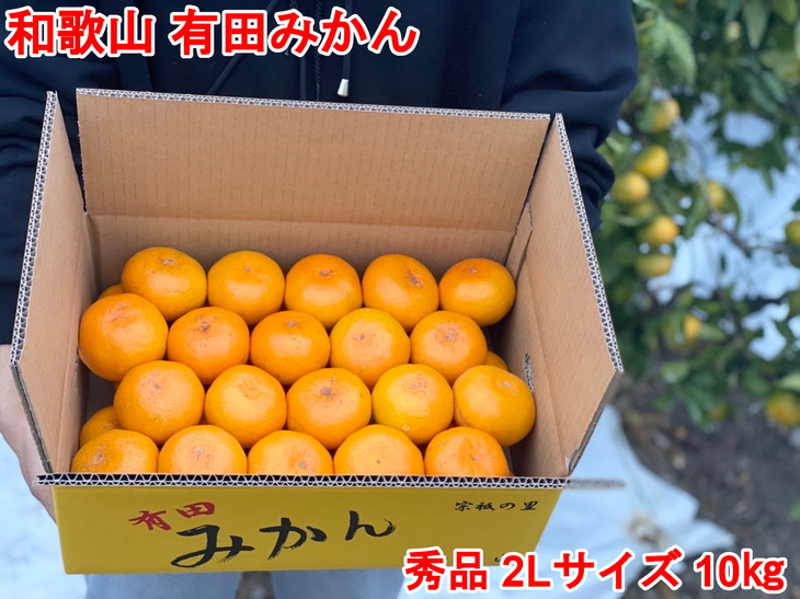 種類豊富な品揃え まる隆果樹園 和歌山有田産 早生みかん≪10kg≫※2022年11月下旬〜2023年1月上旬頃に順次発送予定※北海道 沖縄  離島への配送不可※着日指定不可 fucoa.cl