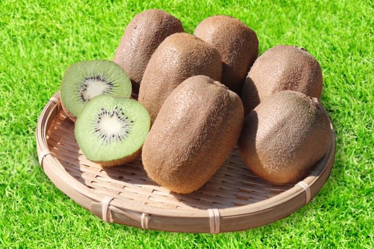 【ふるさと納税】【まごころ手選別】和歌山産 キウイフルーツ 約3.5kg M~2Lサイズ 1箱※2020年1月10日頃~2020年3月30日頃に順次発送予定 【ふるさと納税】【まごころ手選別】和歌山産 キウイフルーツ 約3.5kg M~2Lサイズ 1箱※2020年1月10日頃~2020年3月30日頃に順次発送予定