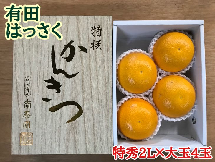 新品 楽天市場 ふるさと納税 化粧小箱 手詰め有田はっさく 特秀 大玉2lサイズ 4玉入 22年1月中旬 2月上旬頃に順次発送予定 着日指定送不可 和歌山県有田川町 新規購入 Lexusoman Com