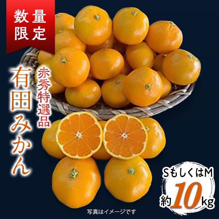 有田みかん 約10kg SもしくはМサイズ ※2022年11月上旬〜2023