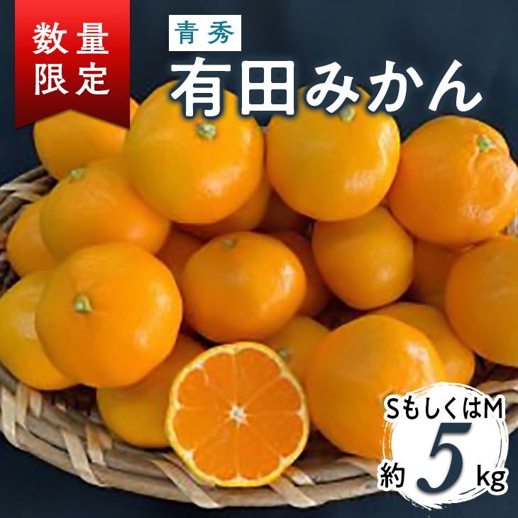 BF6009_有田みかん青秀 S,Мサイズ約5kg※2022年11月上旬〜2023年2月上旬頃に順次発送予定※着日指定不可 【セール