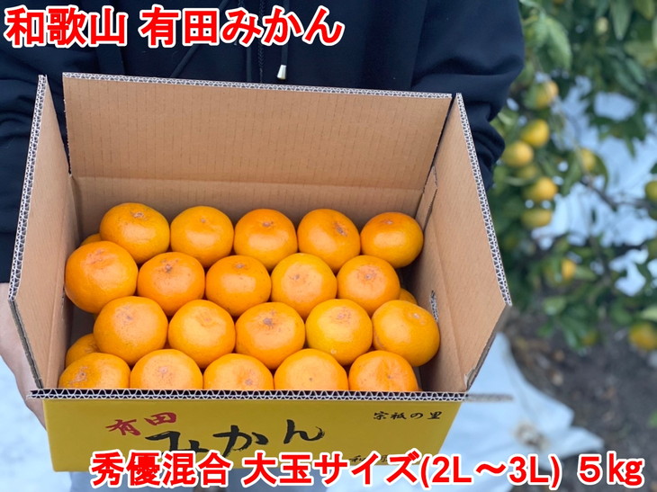 最安値で まる隆果樹園 和歌山有田産 早生みかん≪5kg≫ 蜜柑 柑橘 果物  フルーツ※2022年11月下旬〜2023年1月上旬頃に順次発送予定※北海道 沖縄 離島への配送不可 qdtek.vn