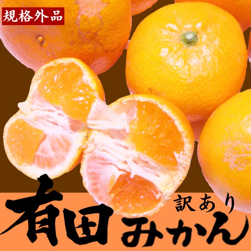 【ふるさと納税】【先行受付】【訳あり】有田みかん 選べる内容量 ｜ 農家直送 訳あり ご家庭用 サイズ混合 光センサー選別 温州みかん みかん 訳あり わけあり 家庭用