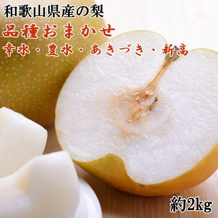 【ふるさと納税】【数量限定】和歌山県産の梨 約2kg（品種おまかせ）◇ ※2025年8月下旬～10月中旬頃に順次発送予定