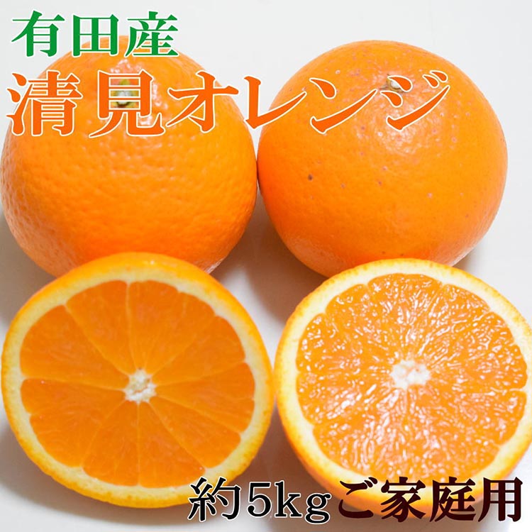 【ふるさと納税】【濃厚】有田産清見オレンジ約5kg(M～3Lサイズおまかせ)ご家庭用 ※2026年2月中旬～3月中旬頃に順次発送予定