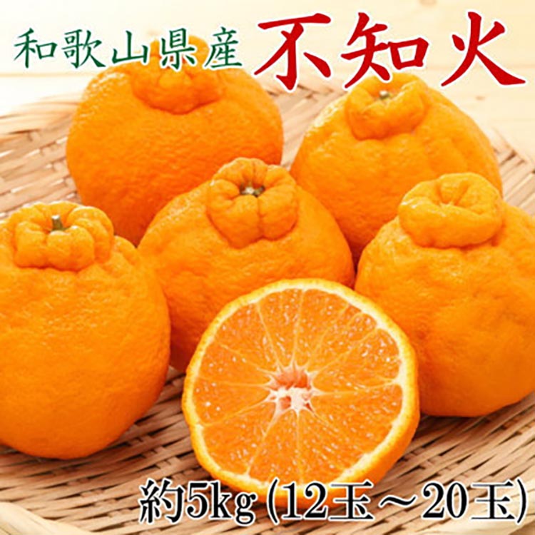 【先行予約】和歌山県産 不知火 約5kg（12～20玉おまかせ）柑橘