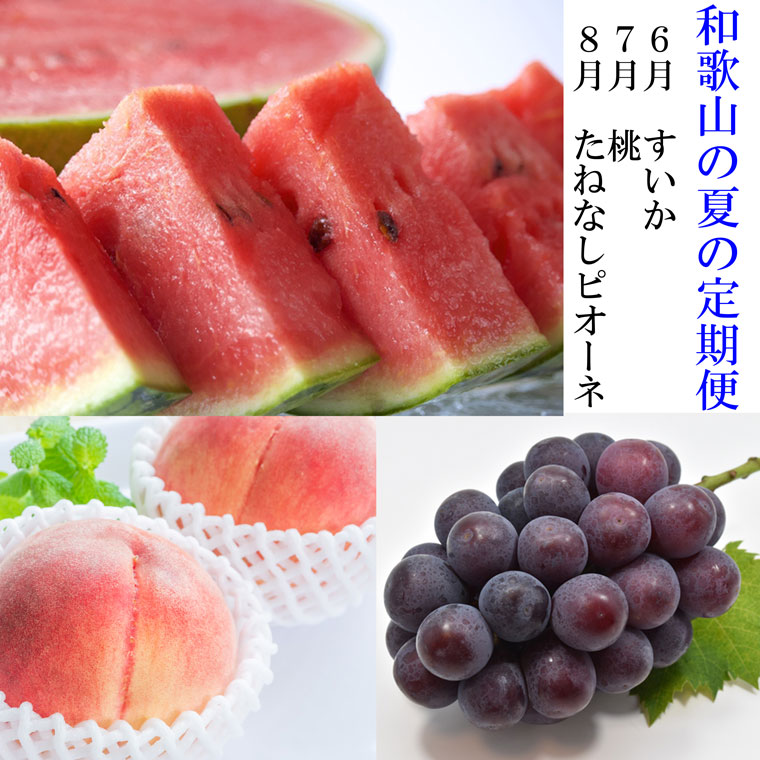 【ふるさと納税】〈定期便〉【6・7・8月 全3回】和歌山の夏の人気フルーツ（小玉スイカ・桃・たねなしピオーネ） ｜フルーツ ふるーつ 果物 くだもの 詰め合わせ 果物定期便 夏 秋※北海道・沖縄・離島への配送不可