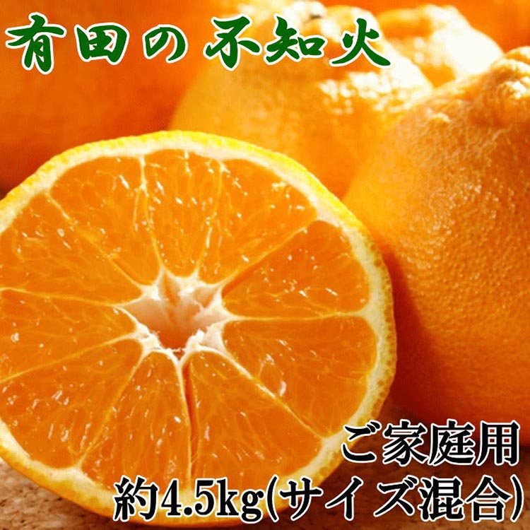 【ふるさと納税】【濃厚】有田の不知火約4.5kgご家庭用向け（サイズ混合） ※2026年2月中旬～3月下旬頃に順次発送予定