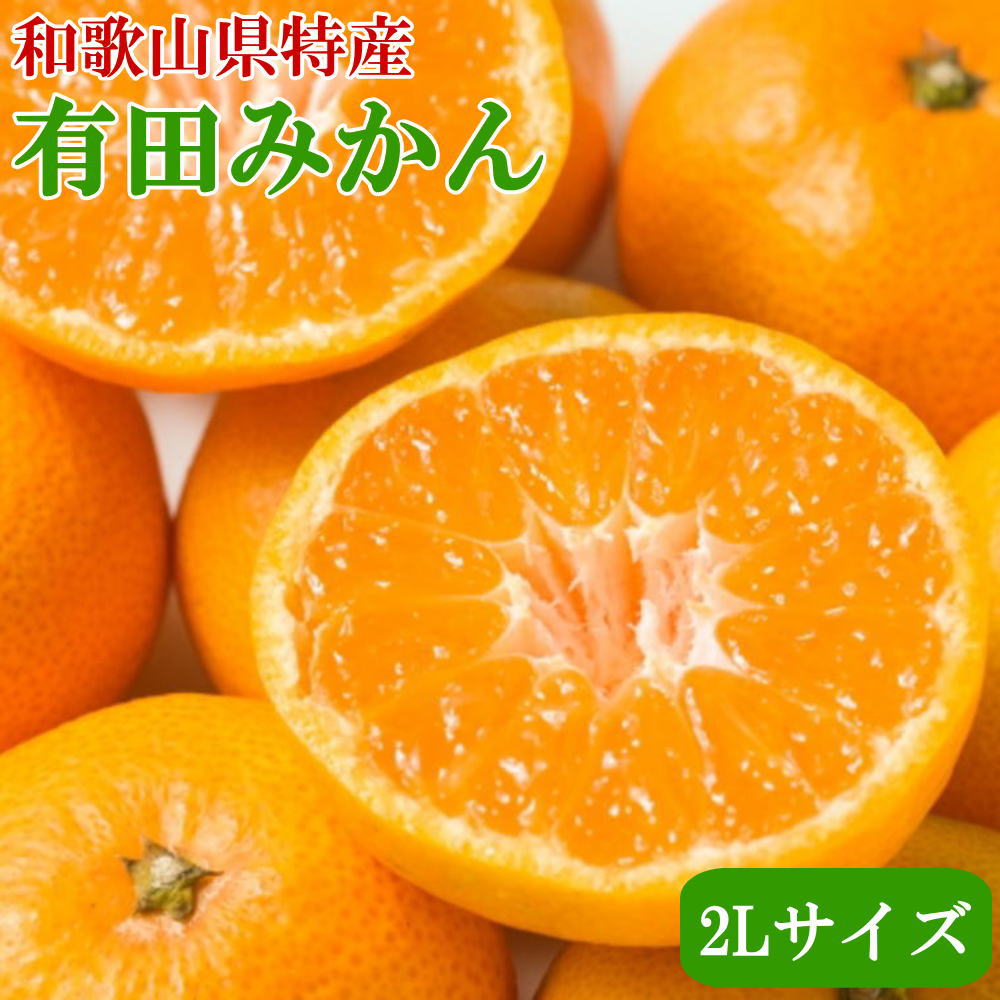 【ふるさと納税】[秀品]和歌山有田みかん6kg（2Lサイズ）※2025年11月中旬～2026年1月中旬頃に順次発送予定 ふるさと納税 みかん