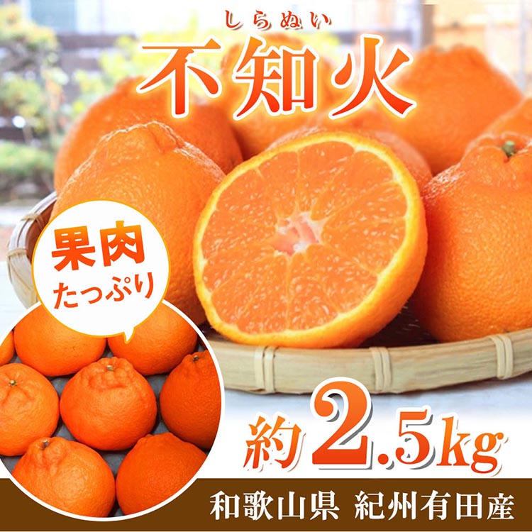 【ふるさと納税】紀州有田産不知火(しらぬひ) 2.5kg