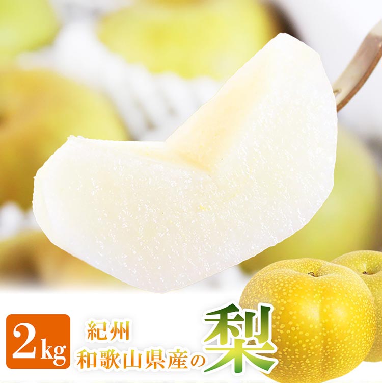 【ふるさと納税】紀州和歌山産の梨 約2kg 化粧箱入◇ ※離島への配送不可 ※2025年8月下旬頃～9月上旬頃に順次発送予定