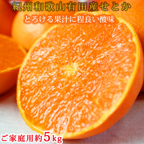 【ふるさと納税】とろける食感!ジューシー柑橘 せとか 約5kg 【家庭用 訳あり】 ※2026年2月上旬～3月中旬頃に順次発送予定