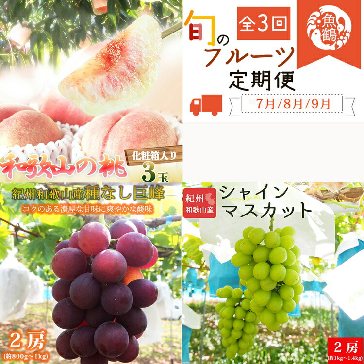 【ふるさと納税】〈7・8・9月 全3回 定期便〉紀州和歌山産旬のフルーツセット（桃・種なし巨峰・シャインマスカット）※離島への配送不可