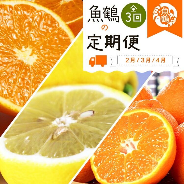 【ふるさと納税】〈定期便〉【2・3・4月 全3回】紀州和歌山産旬の柑橘セット(不知火・レモン・清見) | フルーツ 定期便 果物 くだもの フルーツセット 不知火 レモン 清見 詰め合わせ 旬の果物 詰め合わせセット 水菓子 お取り寄せグルメ 取り寄せ グルメ お取り寄せ