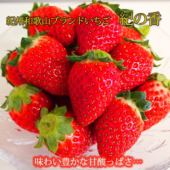 【ふるさと納税】【先行予約】 紀州和歌山産 ブランド いちご 「紀の香」約250g×4パック（計約1kg）