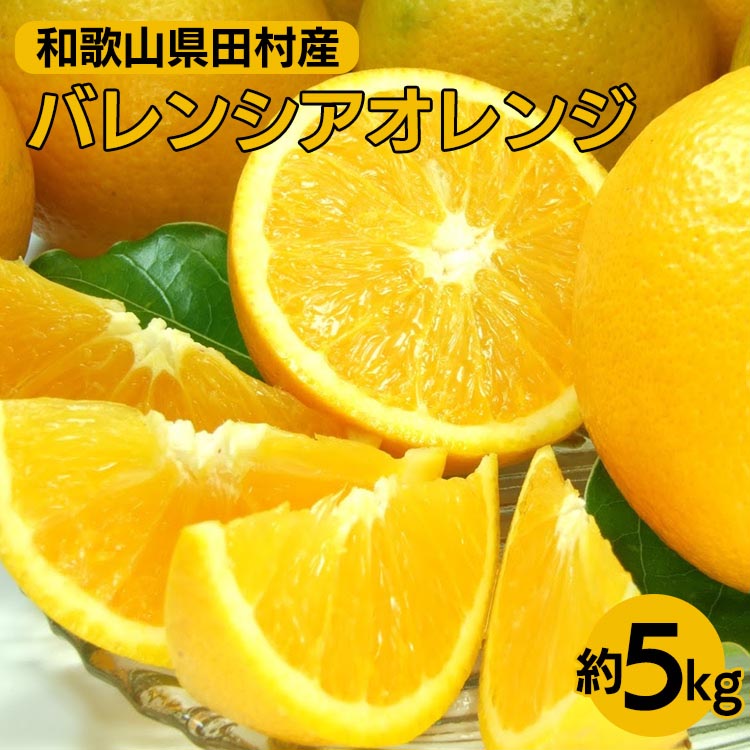 【ふるさと納税】バレンシアオレンジ［約5kg］湯浅町田村産 春みかん 春柑橘 【果実サイズおまかせ】｜和歌山県産 柑橘 フルーツ 紀伊国屋文左衛門本舗 ※2025年6月上旬～7月下旬頃に順次発送予定