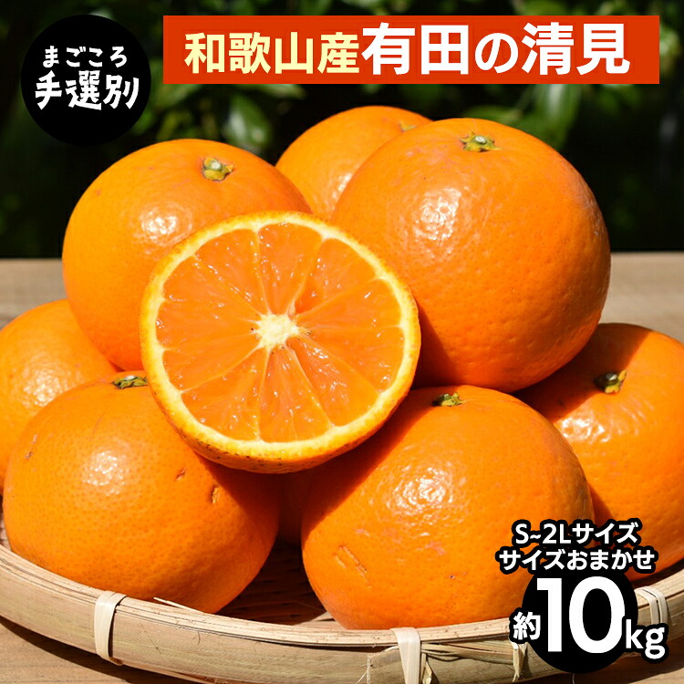 【ふるさと納税】【まごころ手選別】和歌山産　有田の清見　10kg(S～2Lサイズ)サイズおまかせ