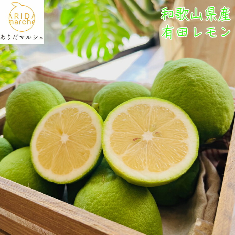 【ふるさと納税】【先行予約】【国産】選べる内容量 農家直送！ 有田レモン 1kg 2kg ※沖縄・離島への配送不可 ※2025年9月下旬～2026年2月下旬頃に順次発送予定
