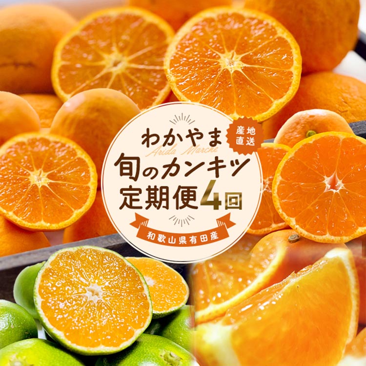 【ふるさと納税】【定期便】〈3・5・9・11月 全4回〉わかやま旬のカンキツ【M】（春の柑橘 ・初夏の柑橘・青切りみかん・完熟みかん）◆ ※北海道・沖縄・離島への配送不可
