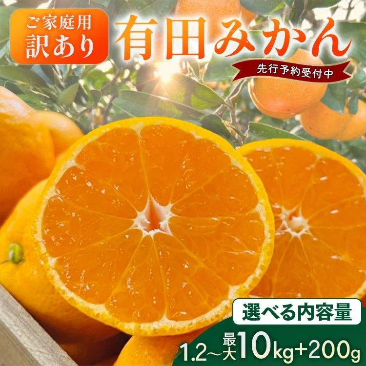 【ふるさと納税】【先行予約】【数量限定】濃厚有田みかん（ご家庭用）選べる内容量 │ みかん  訳あり 柑橘 フルーツ 果物 選べる ミカン 1.2kg 3.1kg 4.1kg 5.7kg 10.2kg ※2025年10月上旬～2026年1月下旬頃発送 ※北海道・沖縄・離島への配送不可