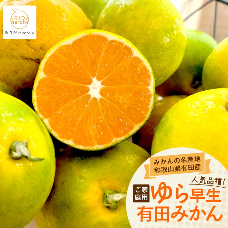 【ふるさと納税】【先行予約】【選べる内容量】ゆら早生有田みかん（ご家庭用）1.2kg～10.2kg ふるさと納税 みかん