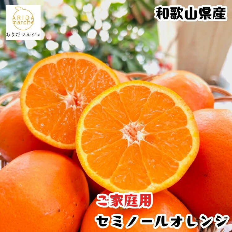 【ふるさと納税】＼選べる内容量／セミノールオレンジ（ご家庭用）｜柑橘 フルーツ 果物 くだもの 食品 人気 おすすめ 選べる 国産 美浜町