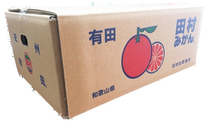 紀州有田産濃厚甘熟温州みかん5kg