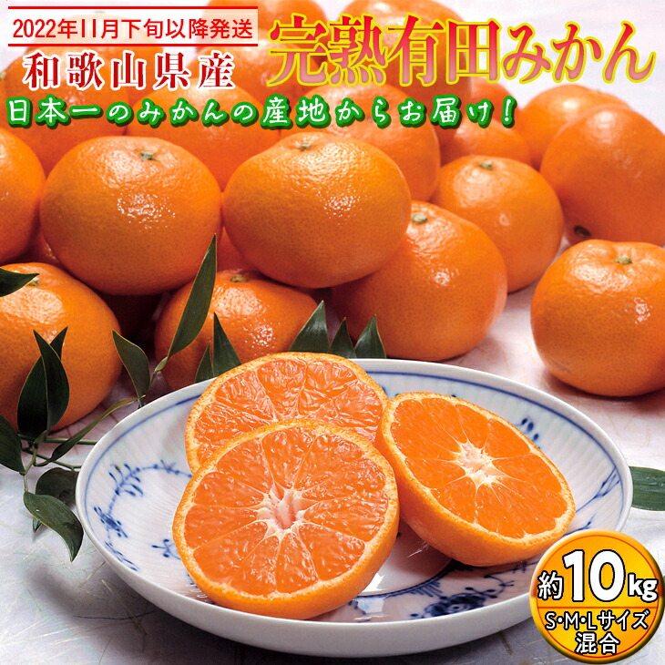 農園直送 濃厚有田みかん ご家庭用 お届け日指定不可 ※１１月下旬〜１２月下旬順次発送予定 約10kg