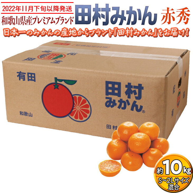 業界No.1 和歌山県産プレミアムブランド田村みかん 赤秀 10kg くだもの 果物 フルーツ 柑橘 蜜柑 ミカン 産地直送※2022年11月下旬〜2023年1月中旬に順次発送予定※離島への配送不可※着日指定不可  fucoa.cl