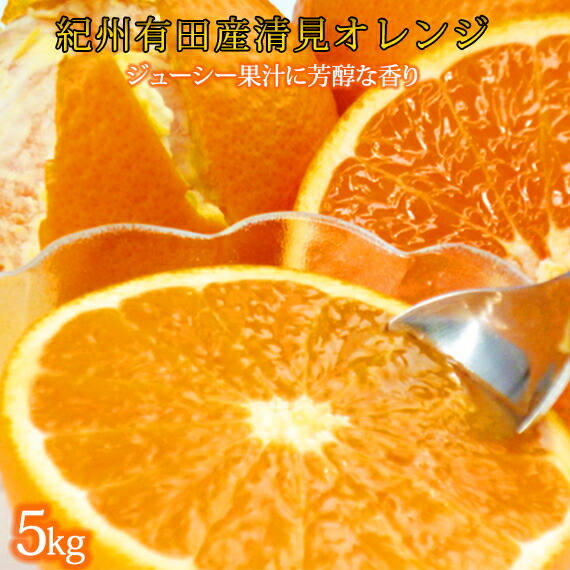 【ふるさと納税】とにかくジューシー清見オレンジ　５kg<br>※2026年3月下旬頃～2026年4月中旬頃に順次発送予定