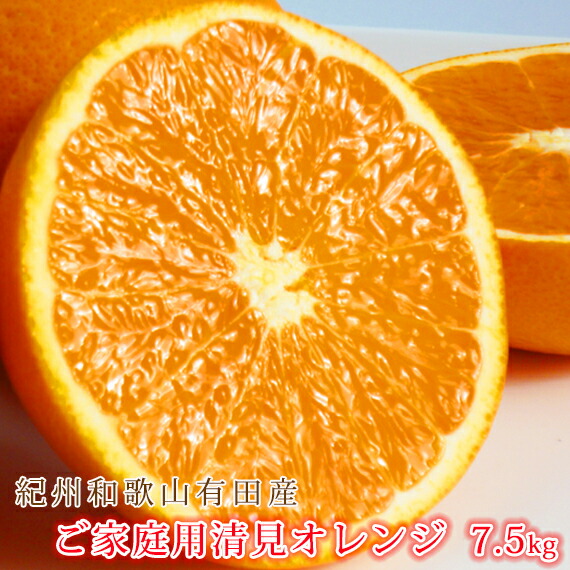 【ふるさと納税】【ご家庭用訳アリ】紀州有田産清見オレンジ　７.５kg<br>※2026年3月下旬頃～2026年4月中旬頃に順次発送予定